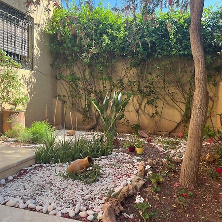 Marrakech Le Joyau Villa Piscine Privee Jardin Marakeş Dış mekan fotoğraf
